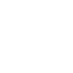 Custom